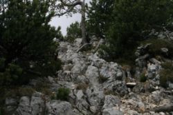 2011-04-24_Regina-F-Rau_Brunnstein-Spitze (073).JPG